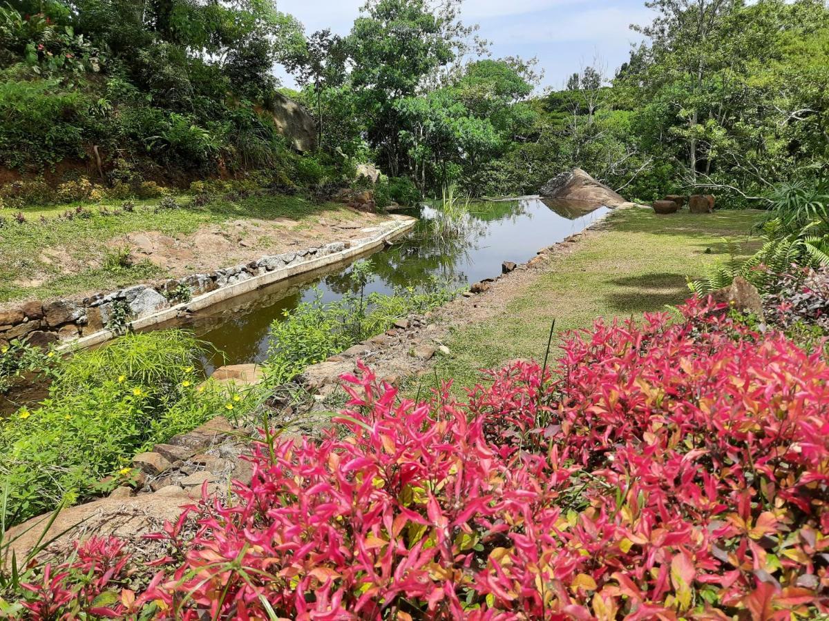 Glenmyu Estate Apartment ฮาปูตาเล ภายนอก รูปภาพ