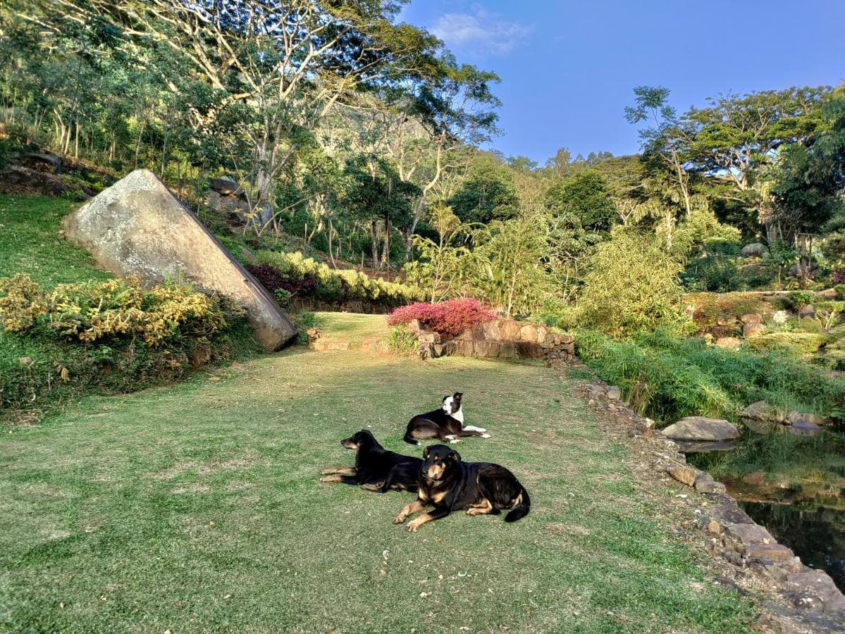 Glenmyu Estate Apartment ฮาปูตาเล ภายนอก รูปภาพ